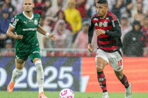 Palmeiras e Flamengo decidem 1º tetra brasileiro na Libertadores