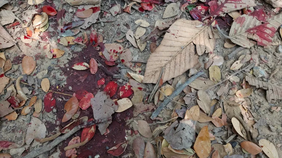 Homem é morto a tiros pelo irmão em Guarujá (SP)