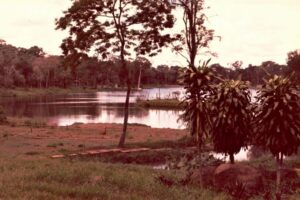 Confira histórias de assombrações e lendas urbanas de Maringá