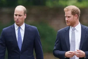 Harry planeja reaproximação com William, diz site