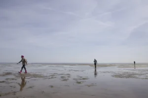 Inglaterra: GPS “engana” entregador e o leva à rota mortal