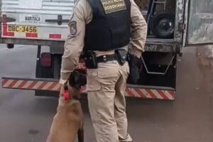 Morte de policial militar de Maringá em acidente com viatura gera comoção