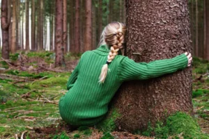 O lado secreto das plantas: elas têm consciência!