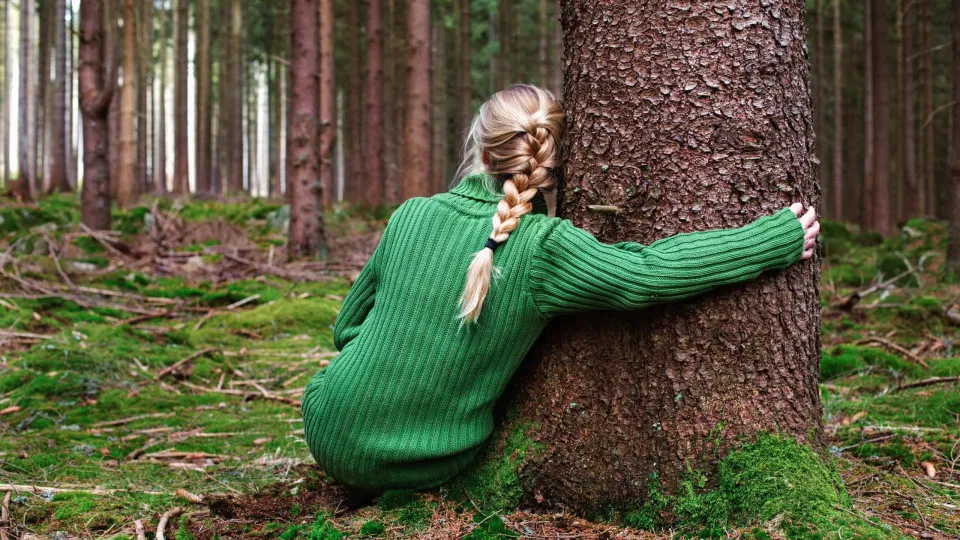 O lado secreto das plantas: elas têm consciência!