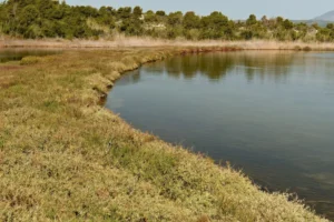 Oito morrem após ônibus cair no lago mais fundo do mundo, na Sibéria