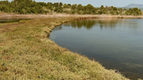 Oito morrem após ônibus cair no lago mais fundo do mundo, na Sibéria