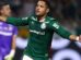 Palmeiras derrota Fluminense e mantém liderança do Brasileiro