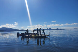 Período de Defeso da Piracema termina no domingo (1) em todo o Paraná