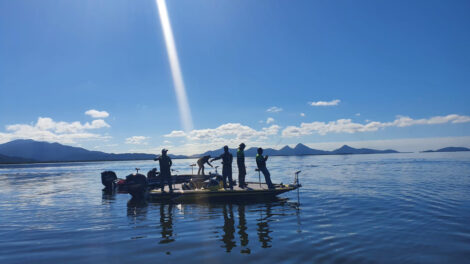 Período de Defeso da Piracema termina no domingo (1) em todo o Paraná