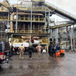 Polícia Federal incinera mais de cinco toneladas de drogas em Maringá