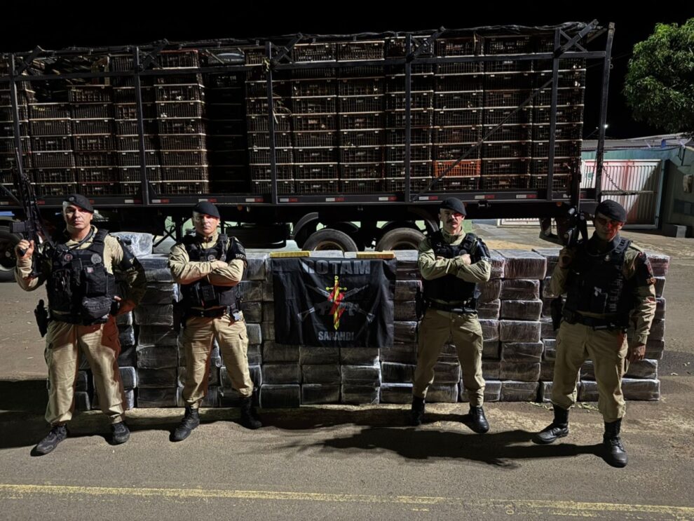 Polícia Militar apreende mais de duas toneladas de maconha em carga de frangos