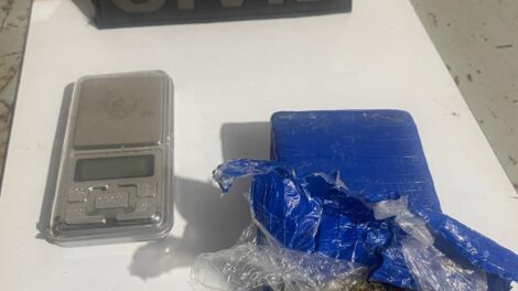 Agentes encontram maconha em residência durante resgate de cães vítimas de maus-tratos, em Maringá