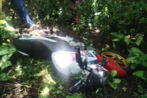 Após denúncia anônima, Guarda Municipal encontra 'esconderijo' de motocicletas furtadas em Maringá