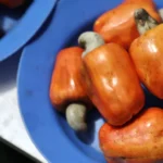 As frutas mais venenosas (e perigosas) do mundo