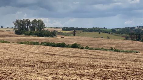 Bombeiros localizam criança que havia desparecido em Mandaguari