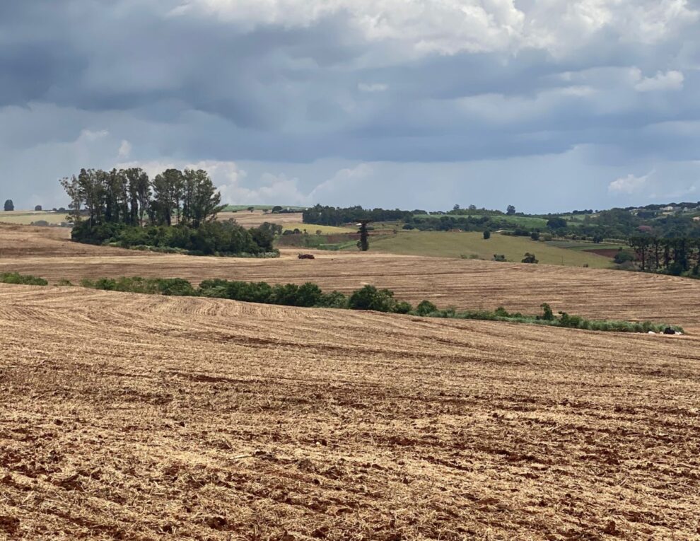 Bombeiros localizam criança que havia desparecido em Mandaguari