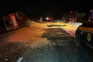 Caminhão de Maringá que levava 50 toneladas de soja tomba em rodovia