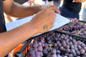 Fiscalização contra ambulantes vira alvo de debate na Câmara de Maringá