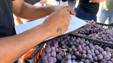 Fiscalização contra ambulantes vira alvo de debate na Câmara de Maringá