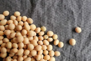 Guerra no Irã ameaça exportação de grãos e suprimento de fertilizantes do Brasil