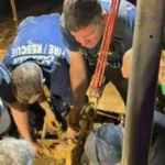 Homem desaparecido durante 10 dias é encontrado com lama até aos ombros