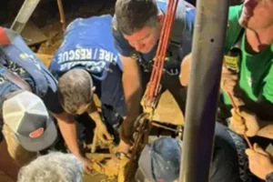 Homem desaparecido durante 10 dias é encontrado com lama até aos ombros