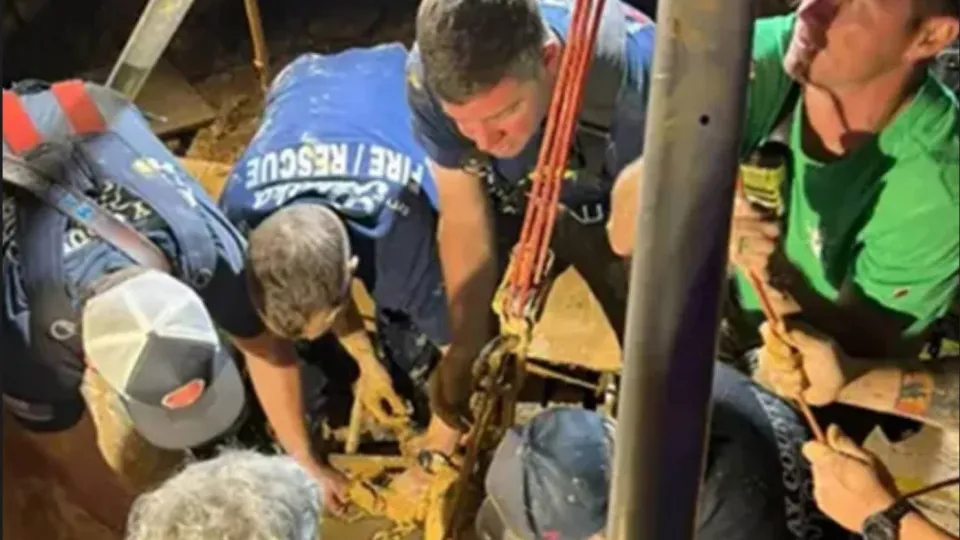 Homem desaparecido durante 10 dias é encontrado com lama até aos ombros