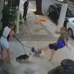 Justiça condena aposentado por agredir cães de irmã do ministro Zanin, do STF