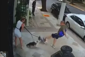 Justiça condena aposentado por agredir cães de irmã do ministro Zanin, do STF