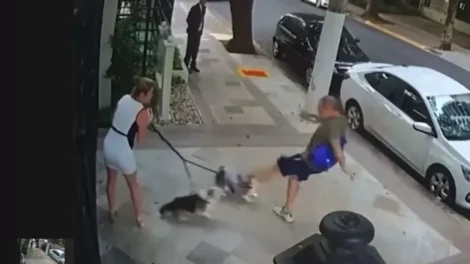 Justiça condena aposentado por agredir cães de irmã do ministro Zanin, do STF