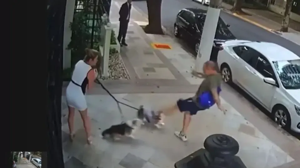 Justiça condena aposentado por agredir cães de irmã do ministro Zanin, do STF