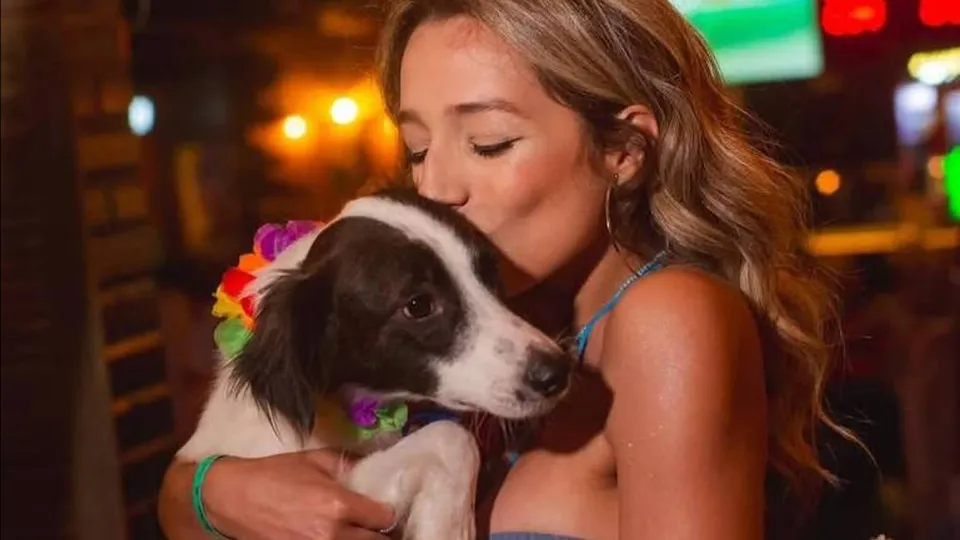 Lindolfo, cachorro de Samira, ganha prótese e estrela campanha publicitária