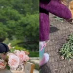 Meghan Markle mostra rotina e faz rara aparição da filha na web; veja