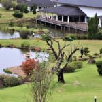 Parque do Japão recebe evento gratuito ‘Celebrando a Mulher’ com shows e sorteios nesta quarta (11)