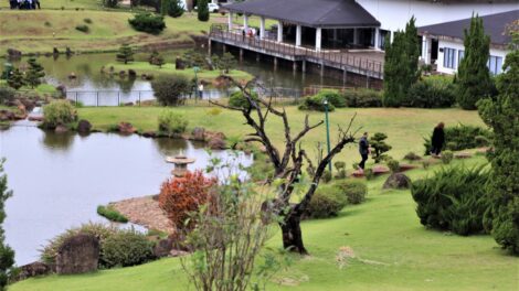 Parque do Japão recebe evento gratuito ‘Celebrando a Mulher’ com shows e sorteios nesta quarta (11)