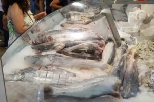 Pesquisa do Procon aponta variações de até 288% no preço do peixe em Maringá