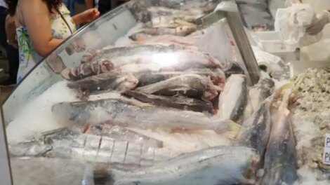 Pesquisa do Procon aponta variações de até 288% no preço do peixe em Maringá