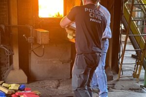 Polícia incinera mais de uma tonelada de drogas em Campo Mourão