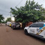 Polícia prende jovem de 20 anos por duplo homicídio na região