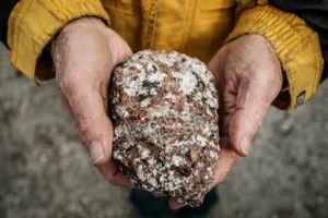 Por que os minerais de terras raras são tão importantes atualmente?