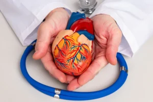 Proteína: veja as melhores opções para a saúde do coração