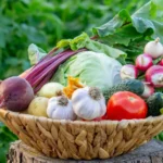 Quer viver mais tempo? Nutricionista aconselha a comer este vegetal