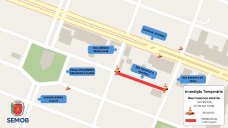 Trecho da Avenida São Paulo entre Mauá e Horácio Raccanello, é interditado para retirada de árvore 