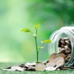 Três signos podem ter sorte com dinheiro nesta semana