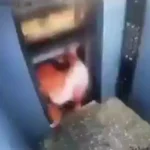 Vídeo: homem escapa de ser esmagado ao sair de elevador na Índia