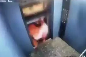 Vídeo: homem escapa de ser esmagado ao sair de elevador na Índia