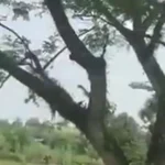 Vídeo mostra queda de avião militar que deixou 66 mortos na Colômbia