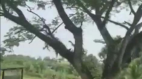 Vídeo mostra queda de avião militar que deixou 66 mortos na Colômbia