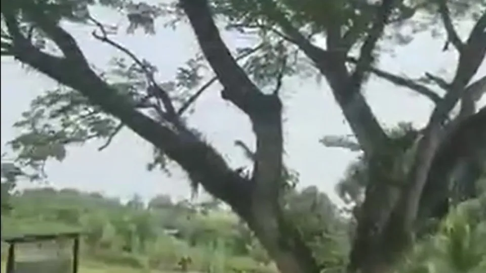 Vídeo mostra queda de avião militar que deixou 66 mortos na Colômbia