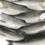 Vigilância Sanitária orienta sobre compra de pescado na Semana Santa